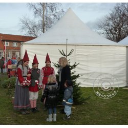 Pagoda 5x5m EventZone