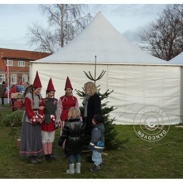 Pagoda 5x5m EventZone