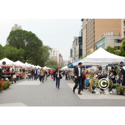 Flextents PRO 3x4,5m inkl 4st sidovggar