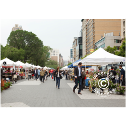 Snabbtlt FleXtents PRO 5x5m, Vit