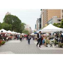 FleXtents PRO Steel 3x3m inkl. 3st panoramafnster