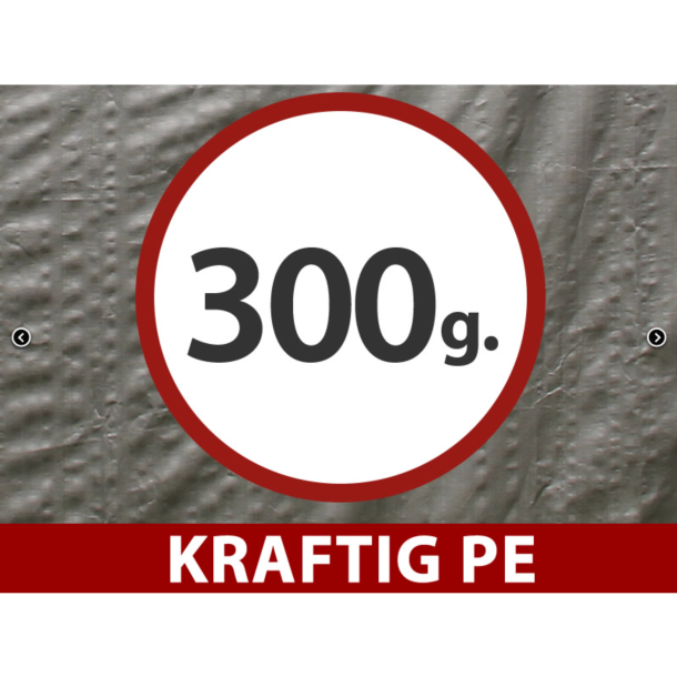 Lagertlt PRO 4x8x2x3,1m PE 300g, Gr