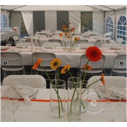 Partytlt 5x6m PVC ORIGINAL