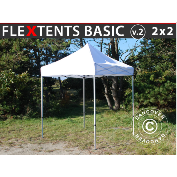 FleXtents Basic 2x2m V.2