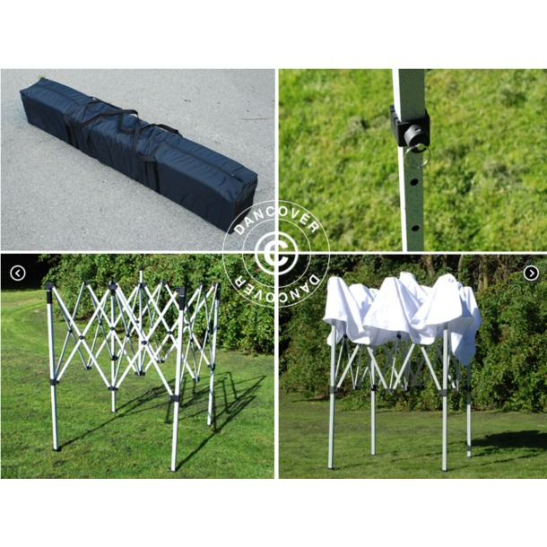 FleXtents Basic 2x2m V.2